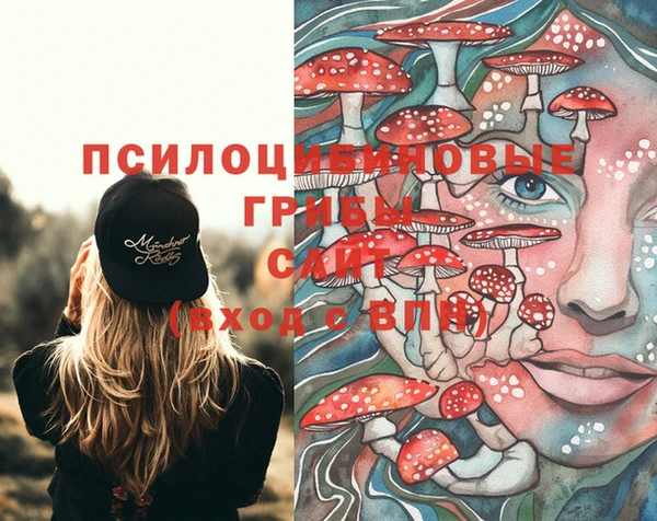 прущая мука Аркадак